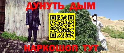 сатива Кунгур