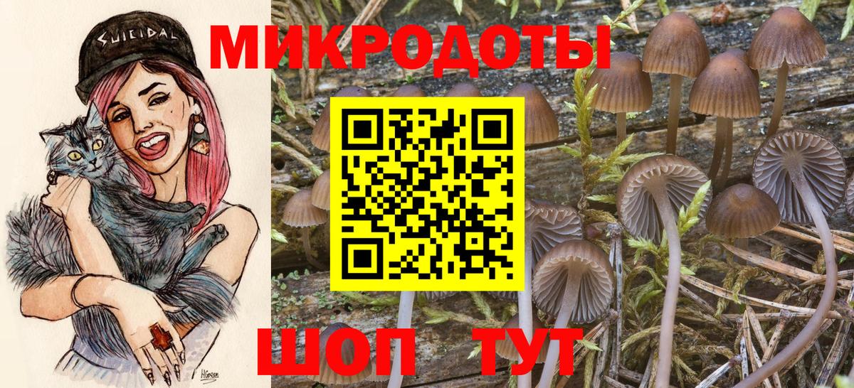 Галлюциногенные грибы прущие грибы  Вход с VPN  Южноуральск  Галлюциногенные грибы Psilocybe 